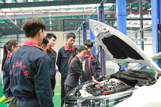 红河州农业学校 站在新起点，续写六十载辉煌，汽车营销专业谱写职教新篇章